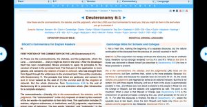 The ULTIMATE Guide To Using Biblehub.com - Steadfast Family